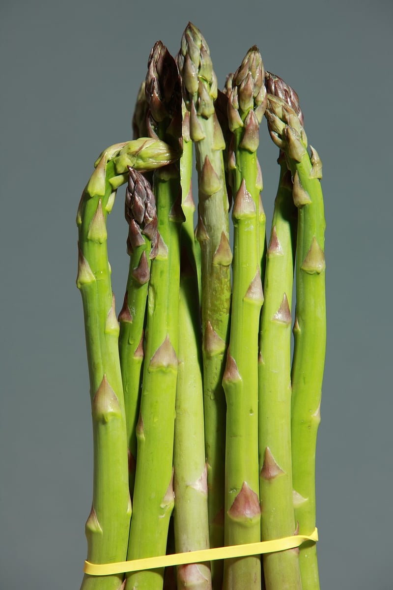 Plated asparagus dish
